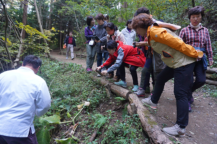 2017년 숲해설 심화교육 과정